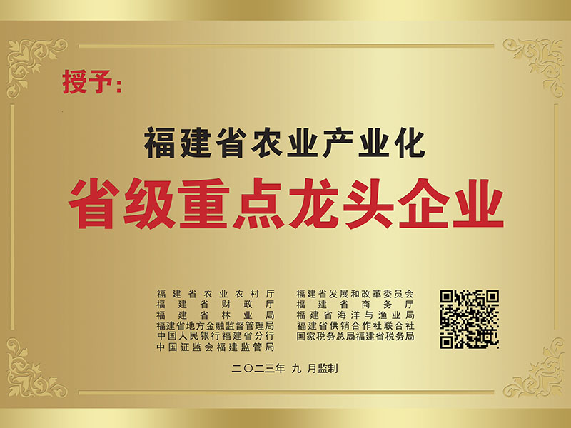 Provincial key leading enterprises