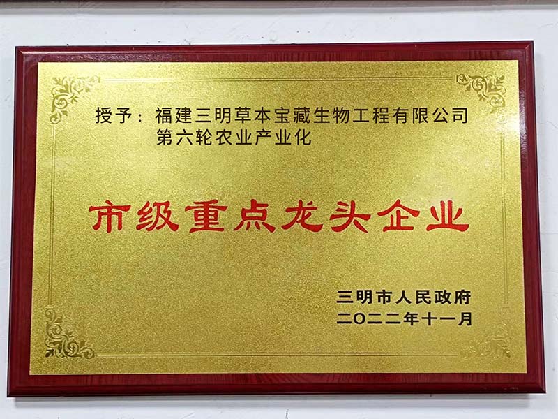 Municipal key leading enterprises