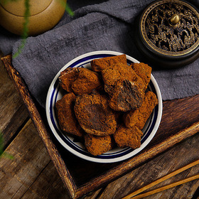 Chaga Powder Extract