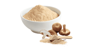 Shiitake Mushroom Powder Extract-2
