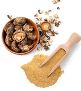 mushroom powder