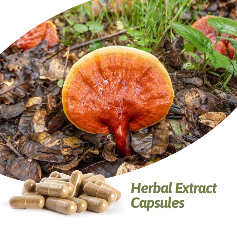 Herbal-Extract-Capsules