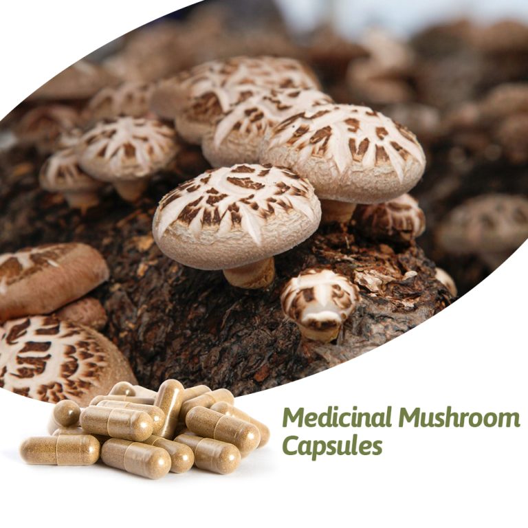 Medicinal-Mushroom-Capsules
