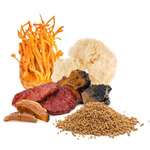 Medicinal Mushroom Granules