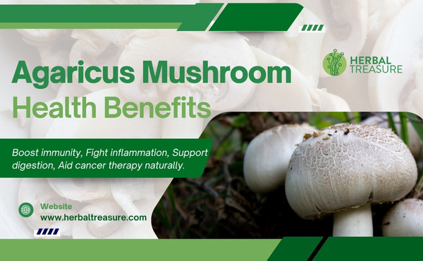 agaricus mushroom health benefits
