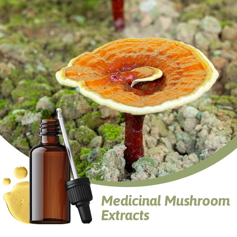 Medicinal-Mushroom-Extracts