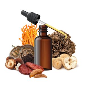 Medicinal Mushroom Extracts
