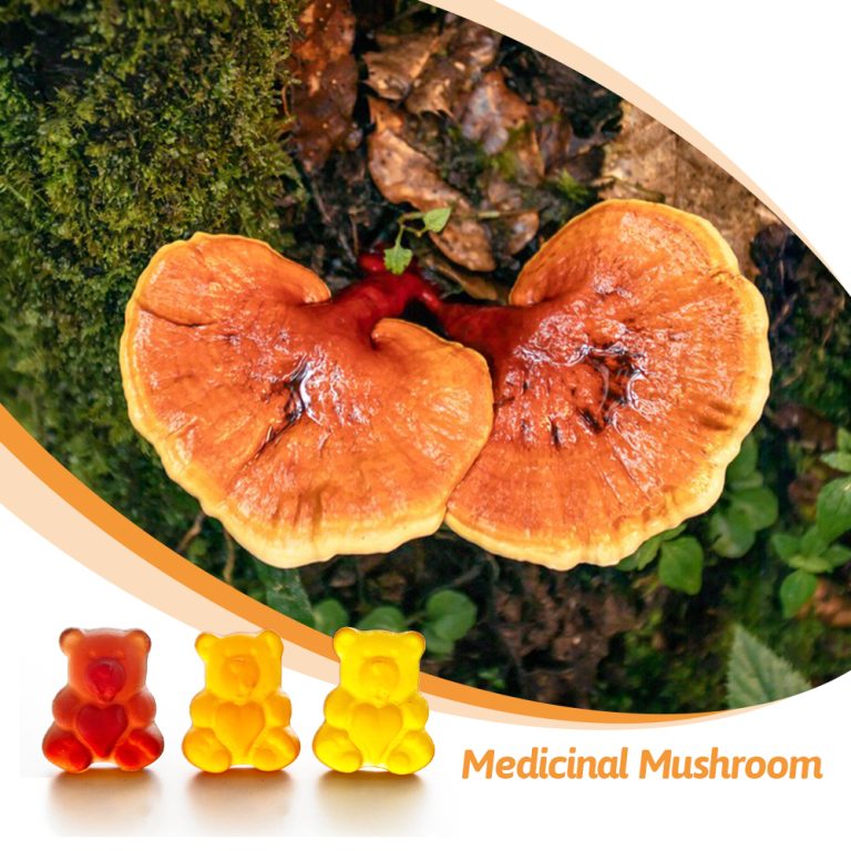 Medicinal-Mushroom-Formulas