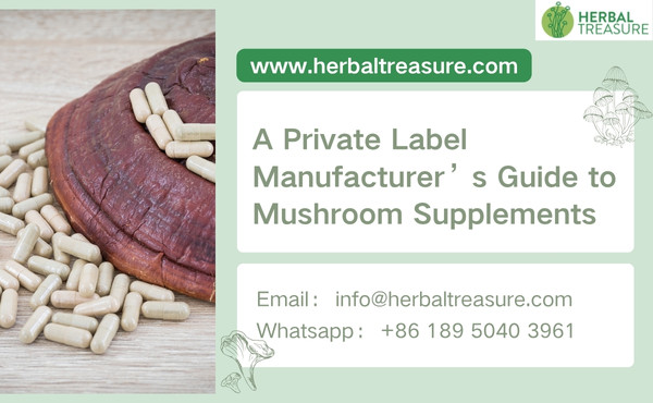 A Private Label Manufacturer’s Guide to Mushroom Supplements