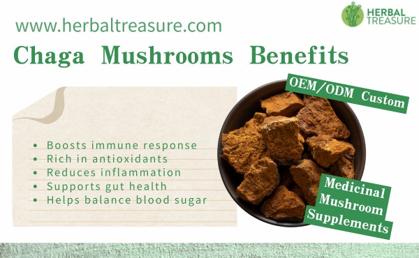 Chaga Mushrooms Benefits