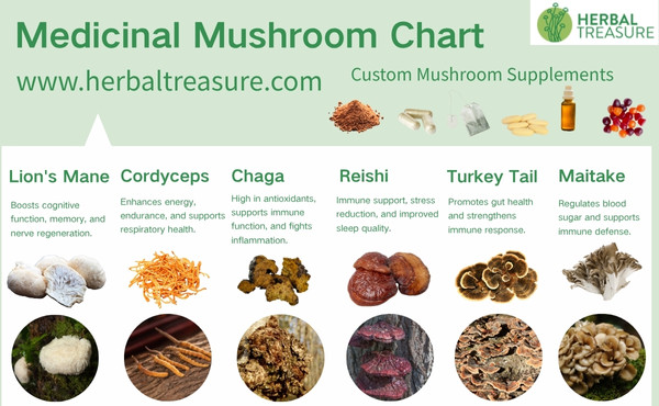 Herbal Treasure Medicinal Mushroom Chart