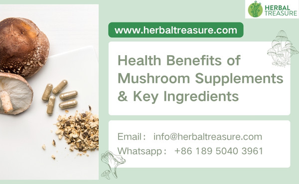 Mushroom Supplements and Benefits