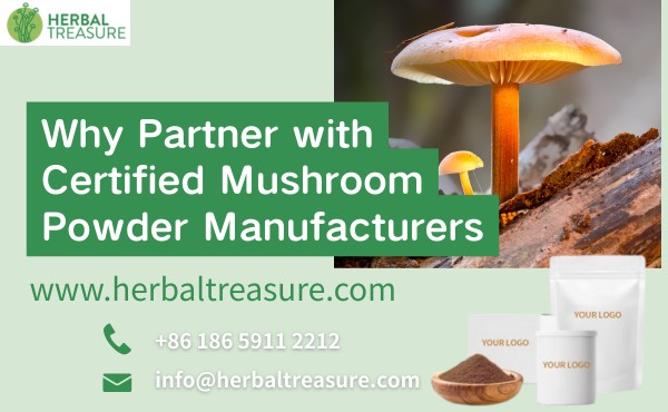 Why Partner with Certified Mushroom Powder Manufacturers