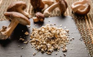 mushroom supplements