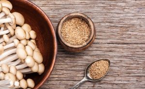 mushroom supplements
