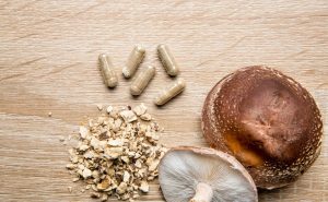 mushroom supplements
