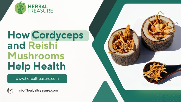 How Cordyceps and Reishi Mushrooms Help Health