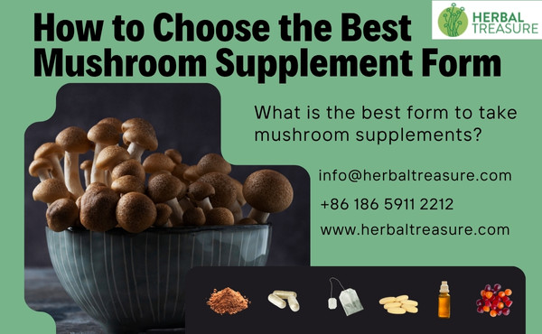 How to Choose the Best Mushroom Supplement Form