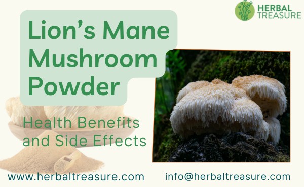 Lion’s Mane Mushroom Powder Health Benefits