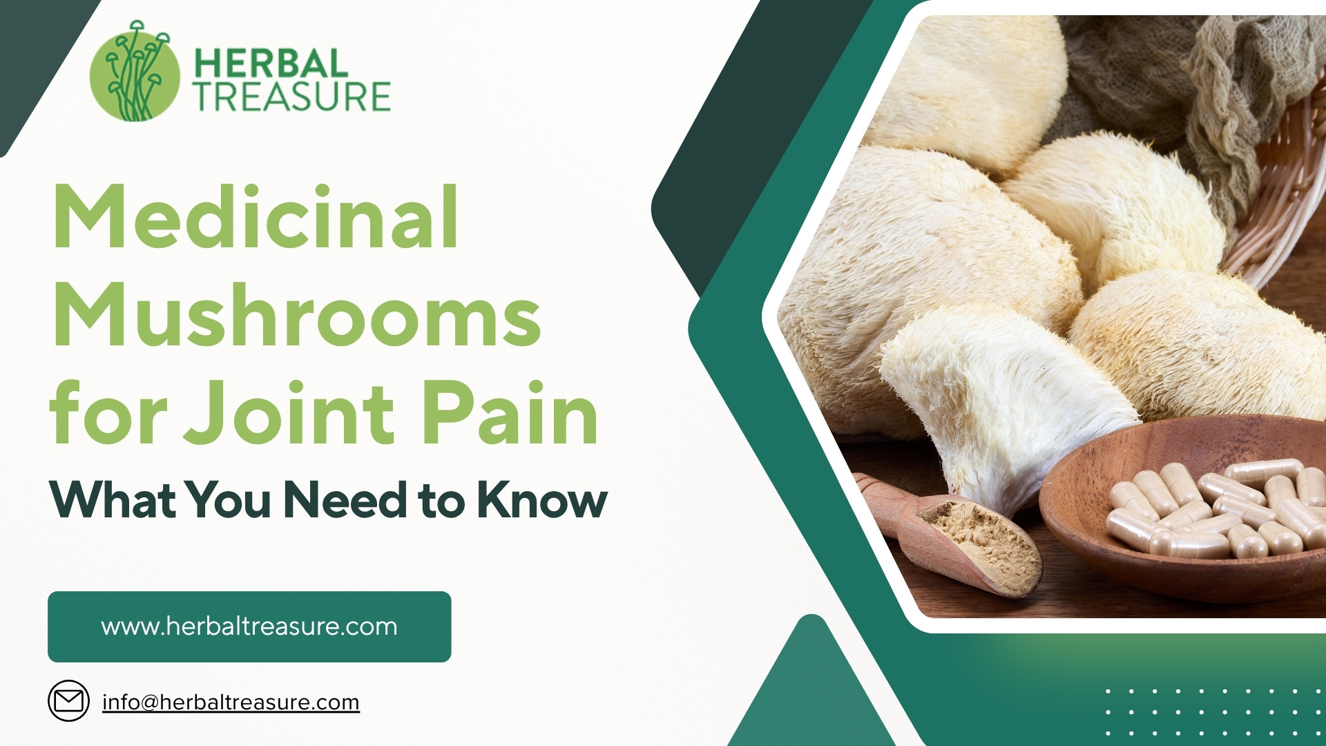 Medicinal Mushrooms for Joint Pain What You Need to Know