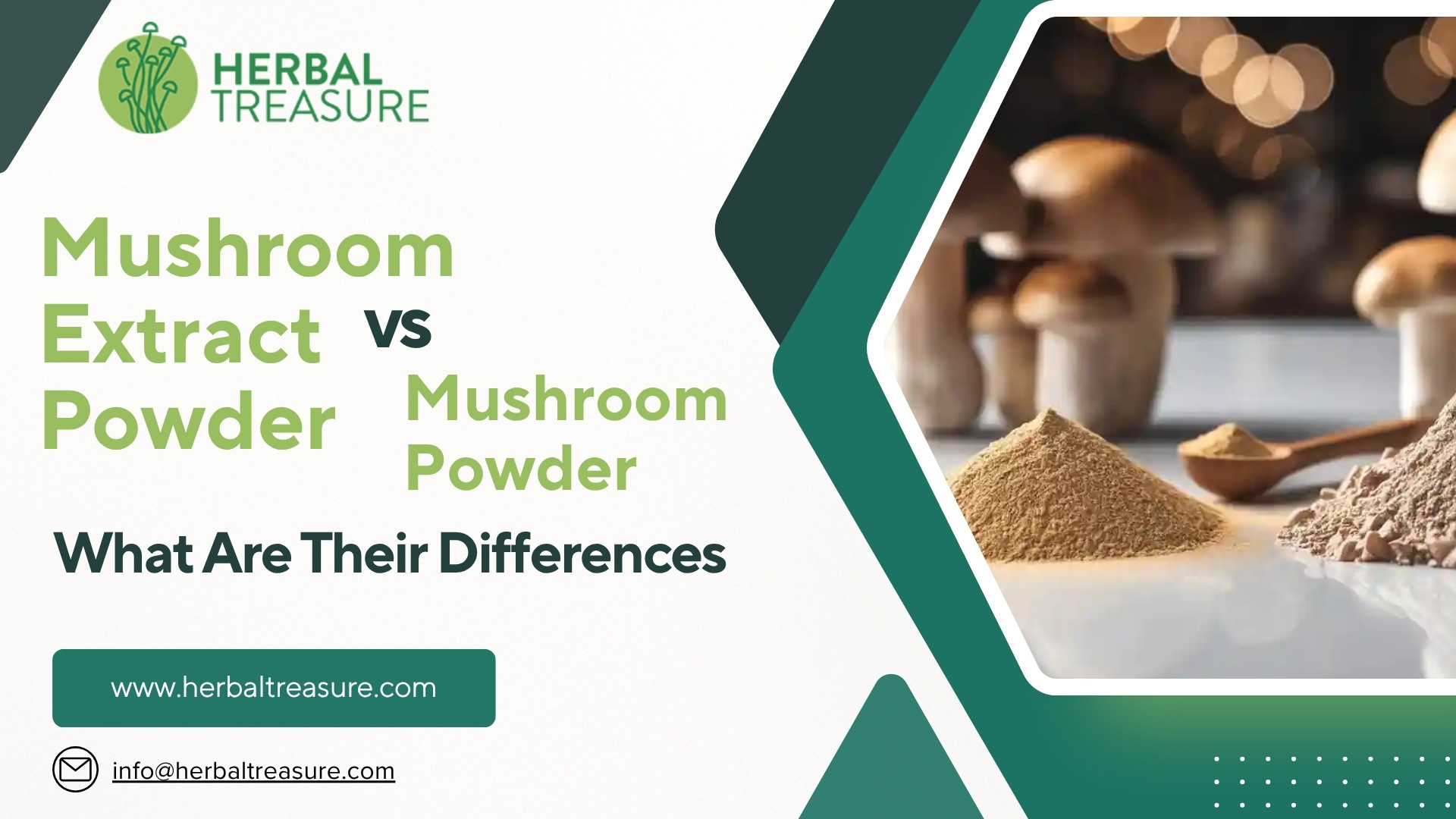 Mushroom Extract Powder vs Mushroom Powder: Essential Guide
