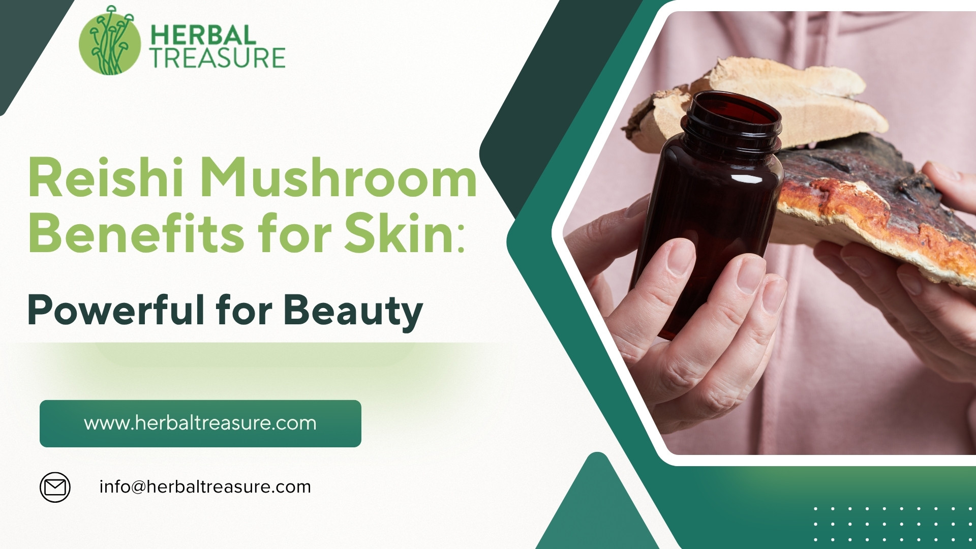 Reishi Mushroom Benefits for Skin: Powerful for Beauty