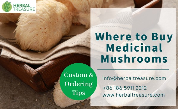 Where to Buy Medicinal Mushrooms