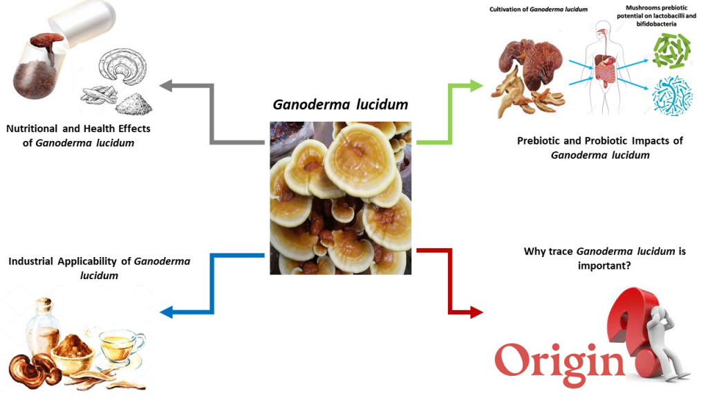 foods 11 01030 ag