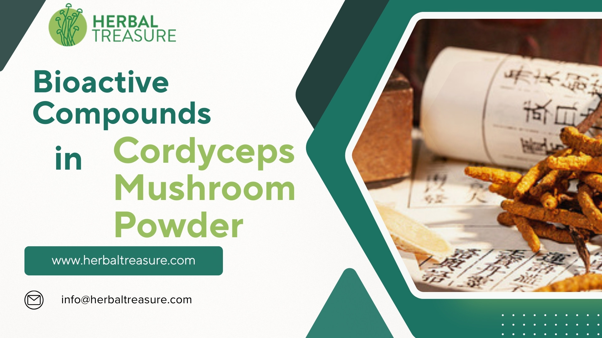 Exploring Bioactive Compounds in Cordyceps Mushroom Powder