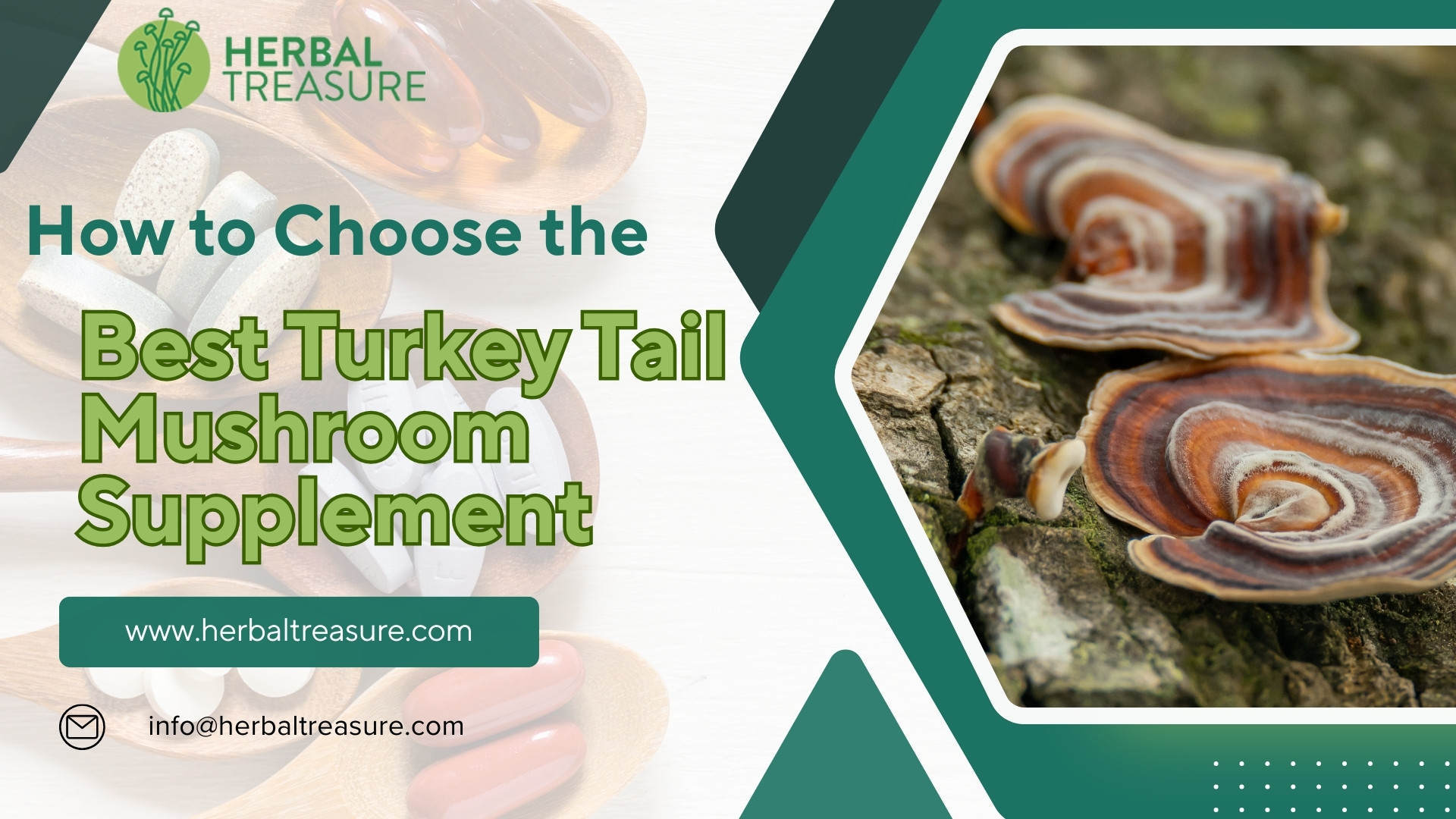 How to Choose the Best Turkey Tail Mushroom Supplement