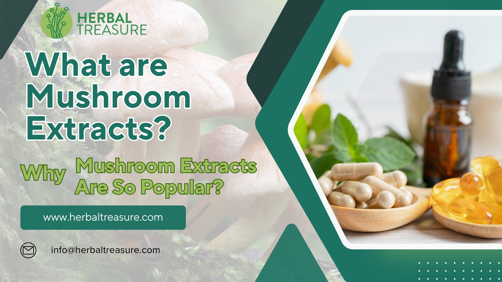 What are Mushroom Extracts?
