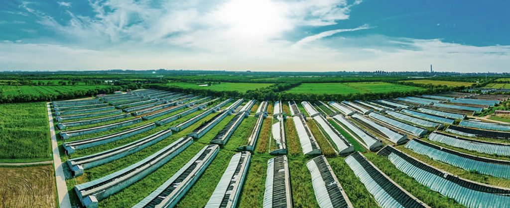 9bb63cbd91bdba833e22b51f361116d9b41dd7e1