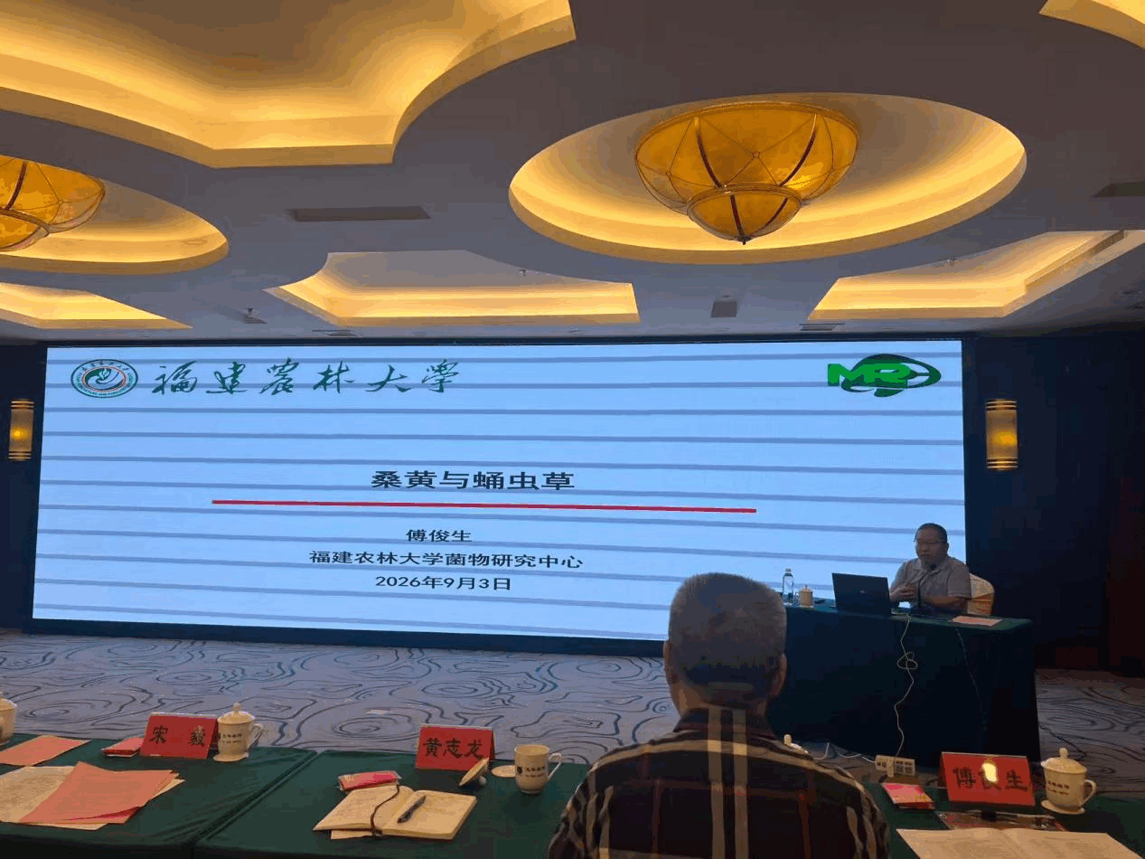 图片3 1
