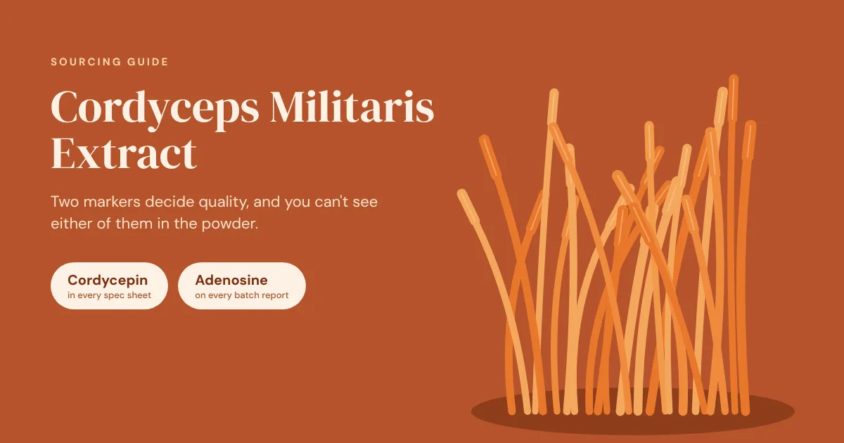Cordyceps militaris fruiting bodies and extract powder, with cordycepin and adenosine named as the two key quality markers