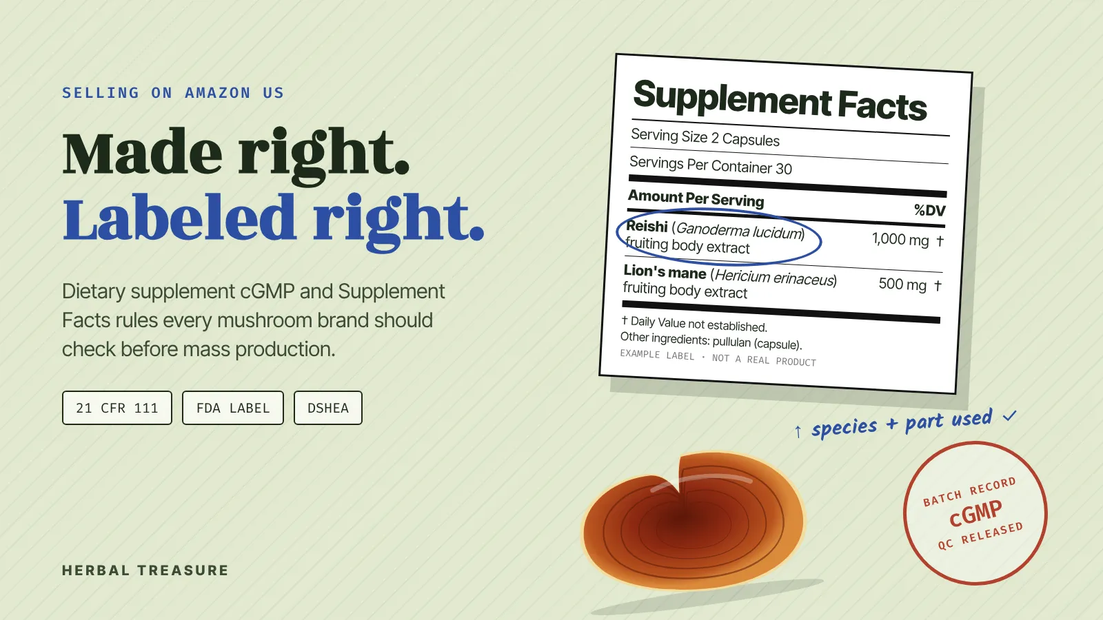 Dietary supplement cGMP and label rules: an example Supplement Facts panel with the reishi species and fruiting body circled, a cGMP batch record stamp and a reishi mushroom