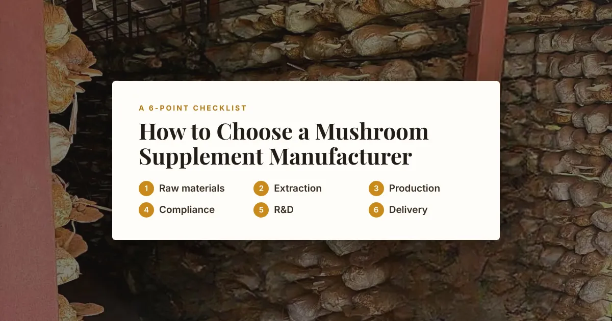 Shelves of reishi mushrooms growing on cultivation bags inside a Herbal Treasure greenhouse, with a six-point checklist for choosing a manufacturer
