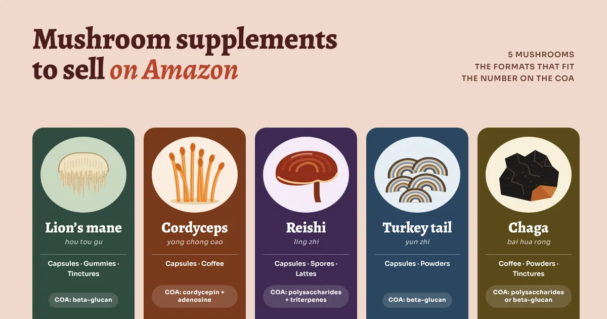 supplements to sell on Amazon: lion’s mane, cordyceps militaris, reishi, turkey tail and chaga, each shown with the formats brands most often choose