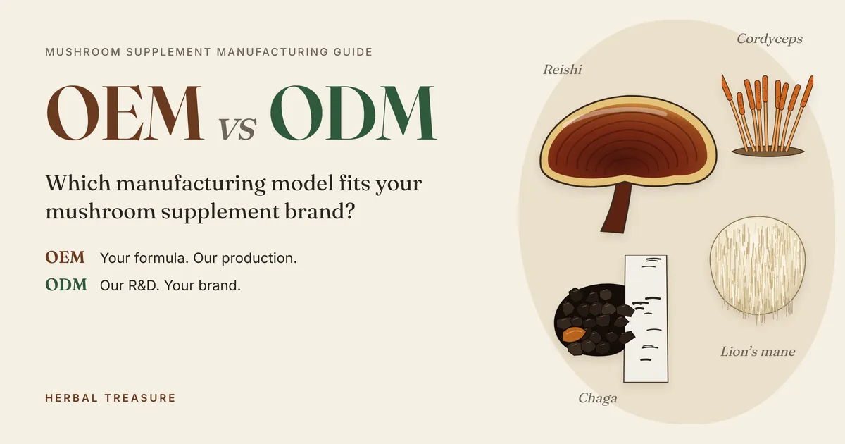 OEM vs ODM for mushroom supplements, illustrated with reishi, lion’s mane, cordyceps, and chaga mushrooms