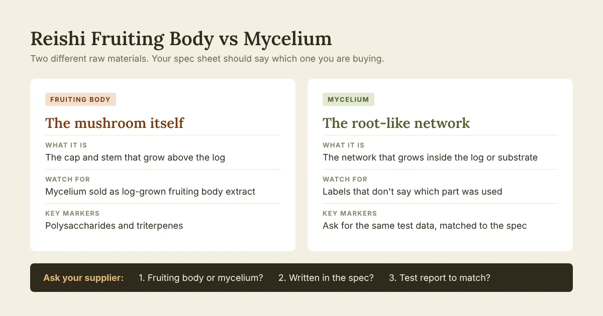 Comparison of reishi fruiting body and mycelium: what each is, how it should be labeled, and what to ask your supplier