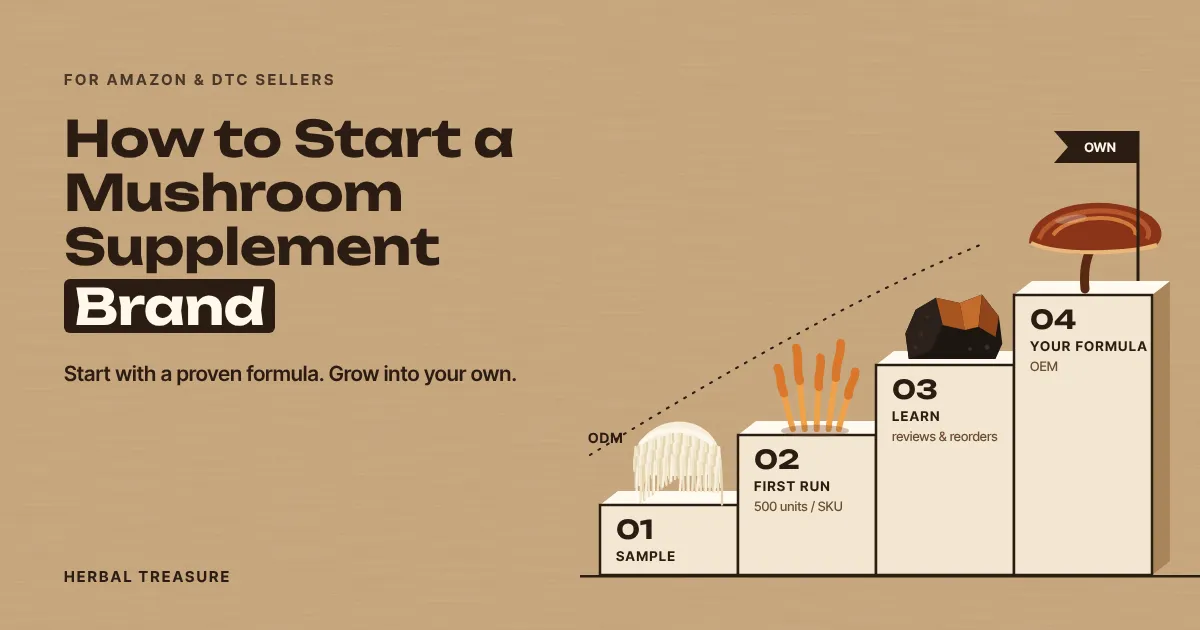 Start a mushroom supplement brand: a route from first sample to your own formula, with reishi, lion’s mane, cordyceps and chaga
